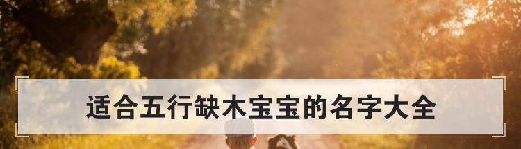 适合五行缺木宝宝的名字大全