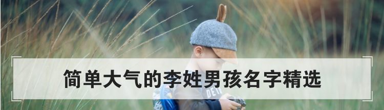 简单大气的李姓男孩名字精选
