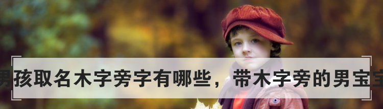 适合男孩取名木字旁字有哪些，带木字旁的男宝宝名字
