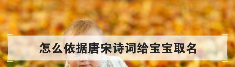 怎么依据唐宋诗词给宝宝取名