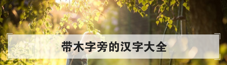 带木字旁的汉字大全