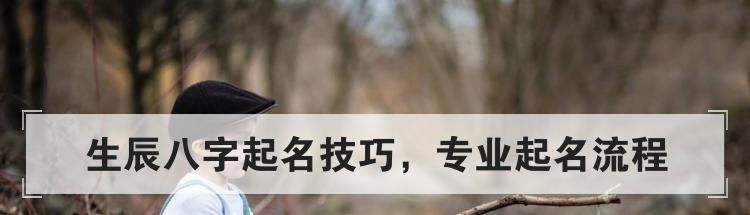 生辰八字起名技巧，专业起名流程