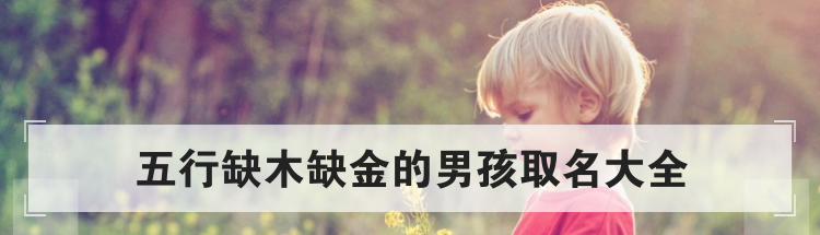 五行缺木缺金的男孩取名大全