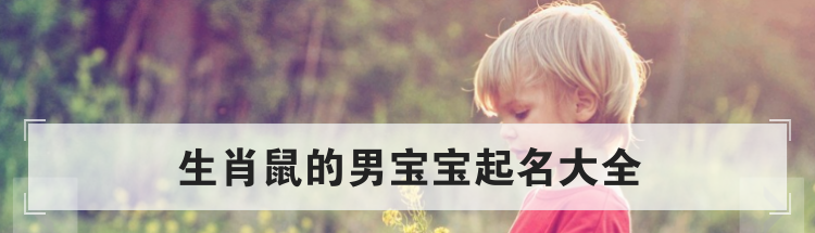 生肖鼠的男宝宝起名大全