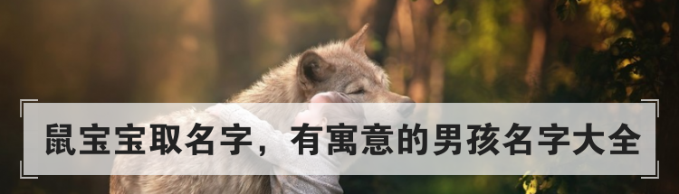 鼠宝宝取名字，有寓意的男孩名字大全