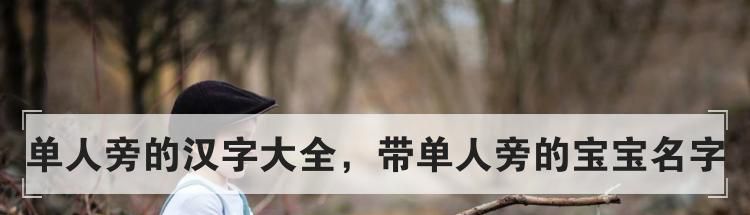 单人旁的汉字大全，带单人旁的宝宝名字