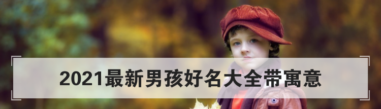 2021最新男孩好名大全带寓意