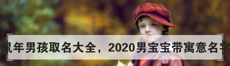 鼠年男孩取名大全，2020男宝宝带寓意名字