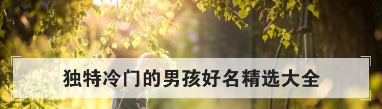 独特冷门的男孩好名精选大全