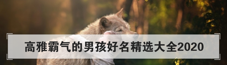 高雅霸气的男孩好名精选大全2020