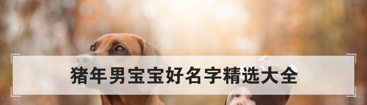猪年男宝宝好名字精选大全