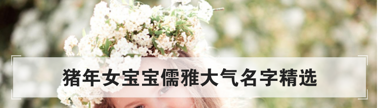 猪年女宝宝儒雅大气名字精选