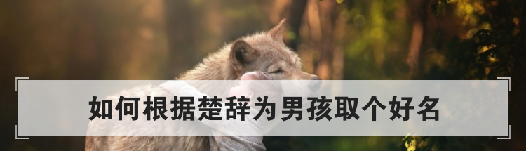 如何根据楚辞为男孩取个好名