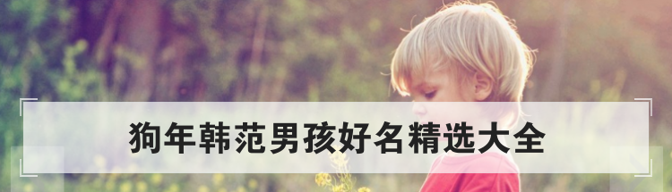 狗年韩范男孩好名精选大全