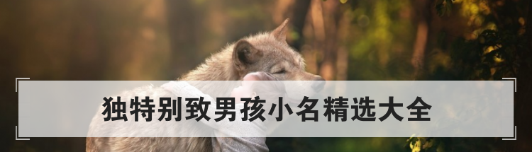 独特别致男孩小名精选大全