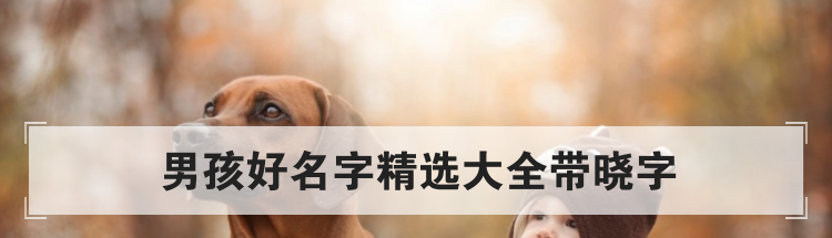 男孩好名字精选大全带晓字