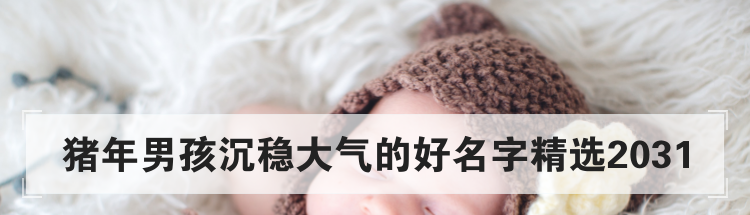 猪年男孩沉稳大气的好名字精选2031