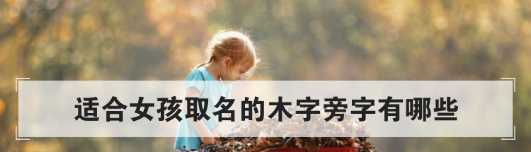 适合女孩取名的木字旁字有哪些