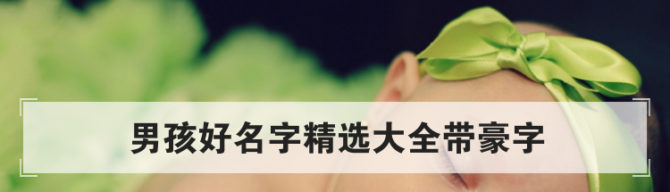 男孩好名字精选大全带豪字