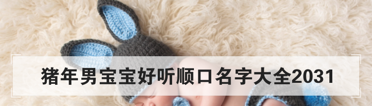 猪年男宝宝好听顺口名字大全2031
