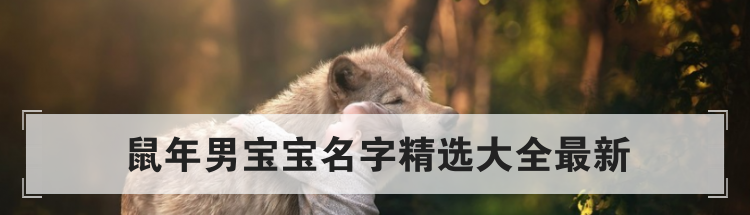鼠年男宝宝名字精选大全最新
