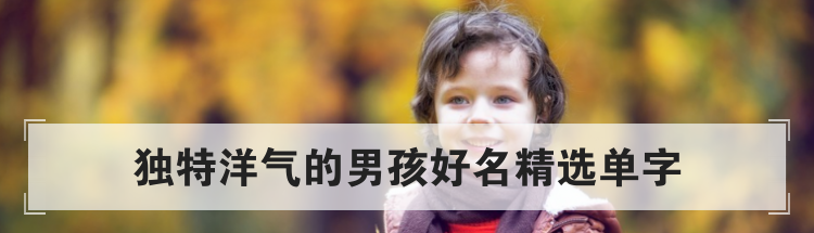 独特洋气的男孩好名精选单字