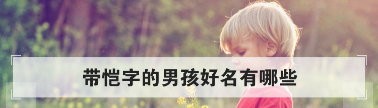 带恺字的男孩好名有哪些