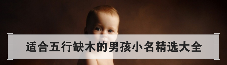 适合五行缺木的男孩小名精选大全