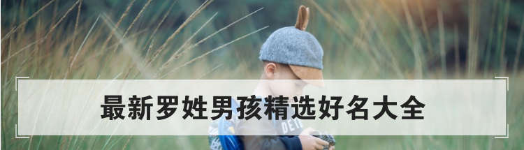 最新罗姓男孩精选好名大全