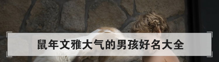 鼠年文雅大气的男孩好名大全