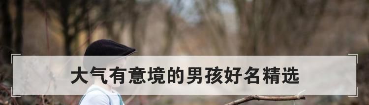 大气有意境的男孩好名精选