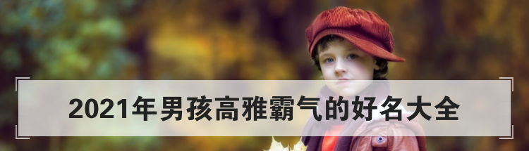 2021年男孩高雅霸气的好名大全