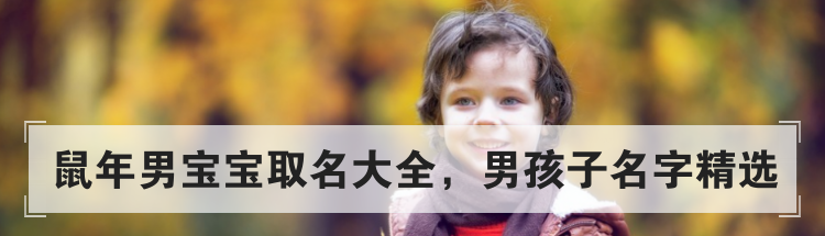 鼠年男宝宝取名大全，男孩子名字精选