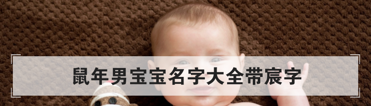 鼠年男宝宝名字大全带宸字