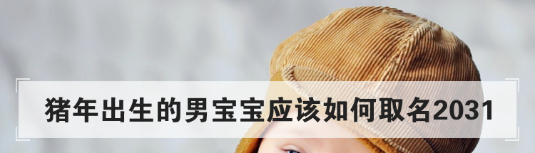 猪年出生的男宝宝应该如何取名2031