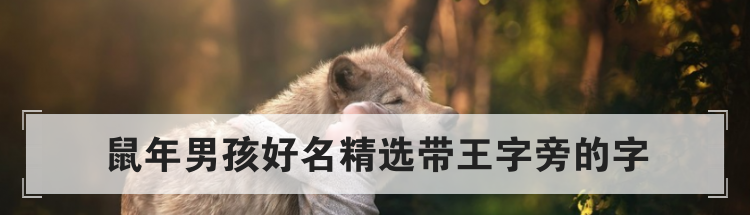 鼠年男孩好名精选带王字旁的字