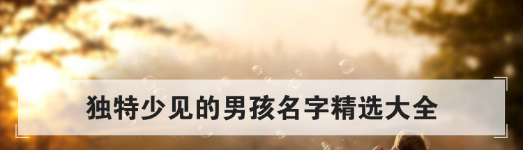 独特少见的男孩名字精选大全