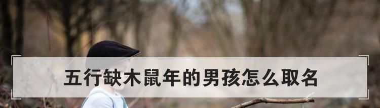 五行缺木鼠年的男孩怎么取名
