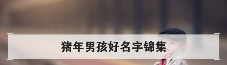 猪年男孩好名字锦集