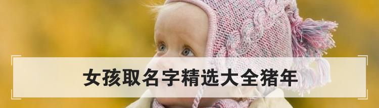 女孩取名字精选大全猪年