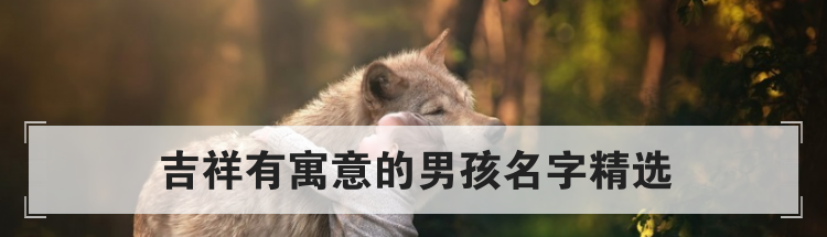 吉祥有寓意的男孩名字精选