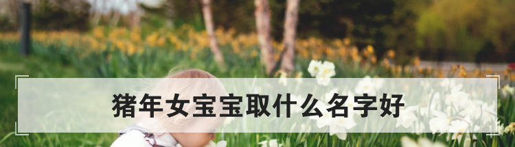 猪年女宝宝取什么名字好