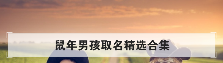 鼠年男孩取名精选合集