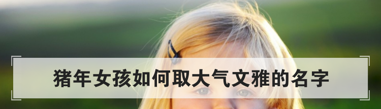 猪年女孩如何取大气文雅的名字