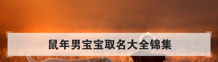 鼠年男宝宝取名大全锦集