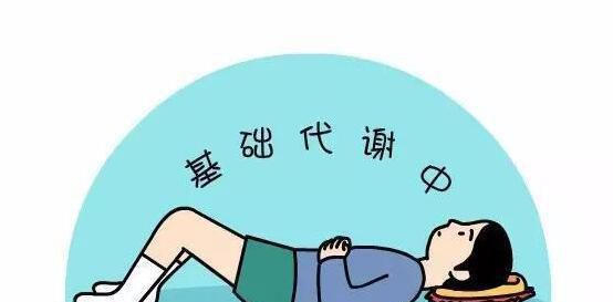 基础代谢率计算公式，基础代谢率的正常范围