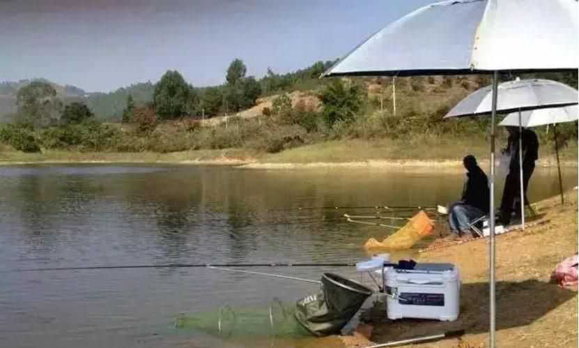 新手钓鱼调漂的正确方法