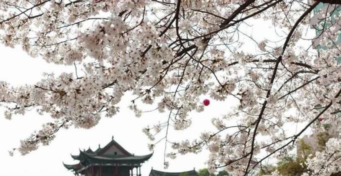 武汉4月踏青不花钱的好去处