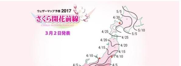 日本旅游樱花攻略
