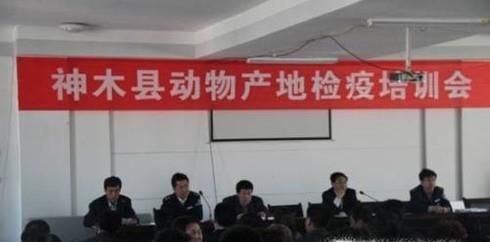 春运坐火车带宠物回家攻略